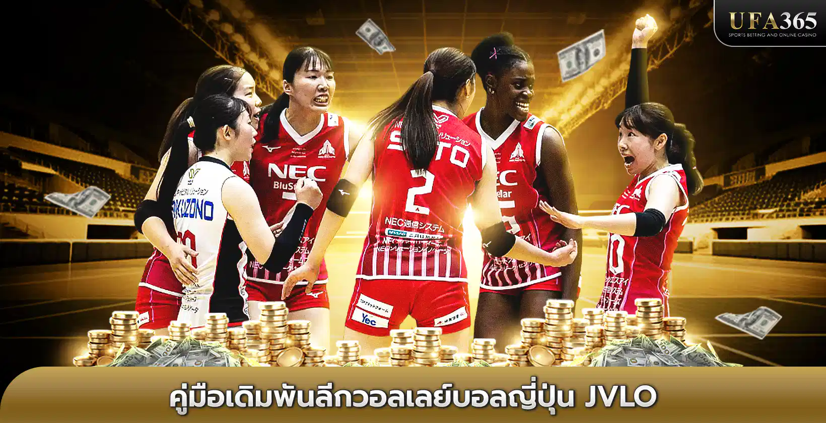 คู่มือเดิมพัน ลีกวอลเลย์บอลญี่ปุ่น JVLO
