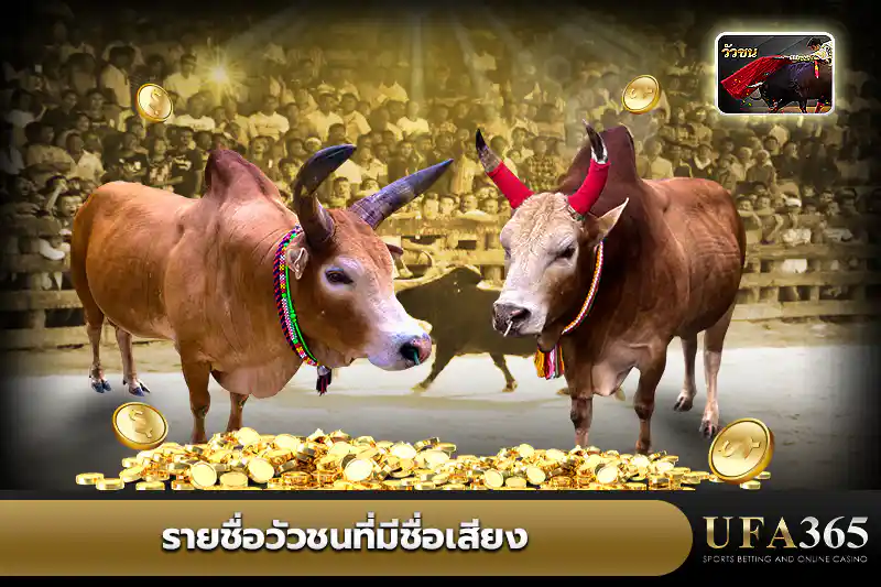 วัวชนที่มีชื่อเสียง