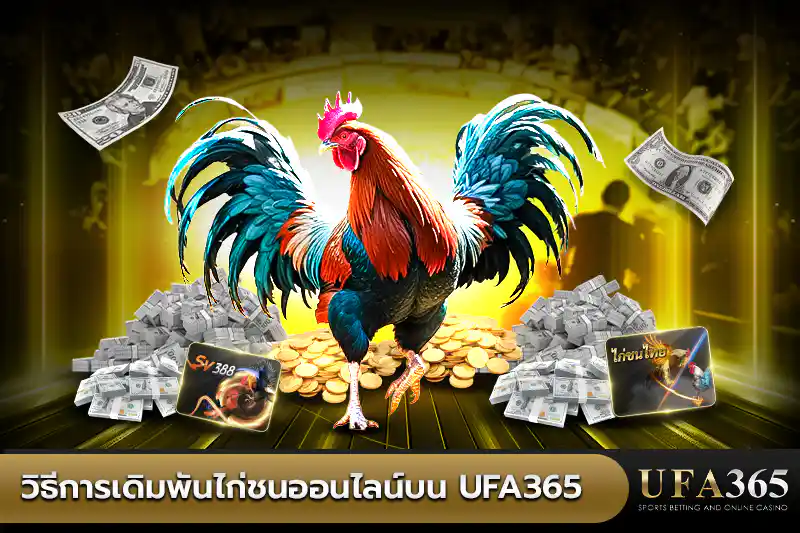 วิธีการเดิมพัน ไก่ชนออนไลน์