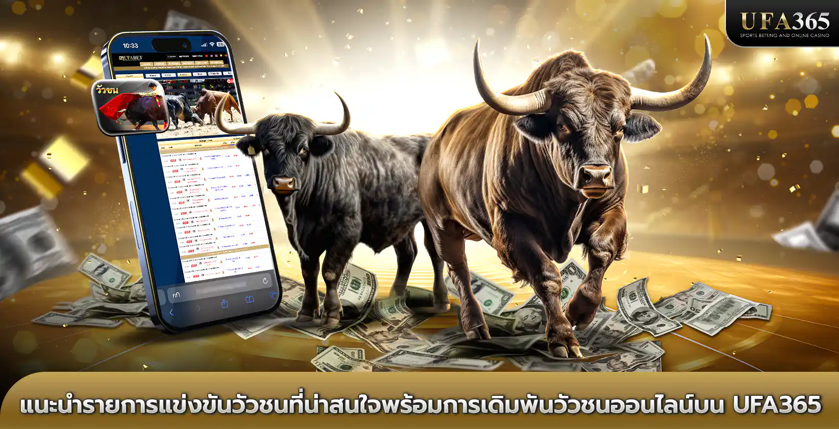 เดิมพัน วัวชนออนไลน์ บน UFA365