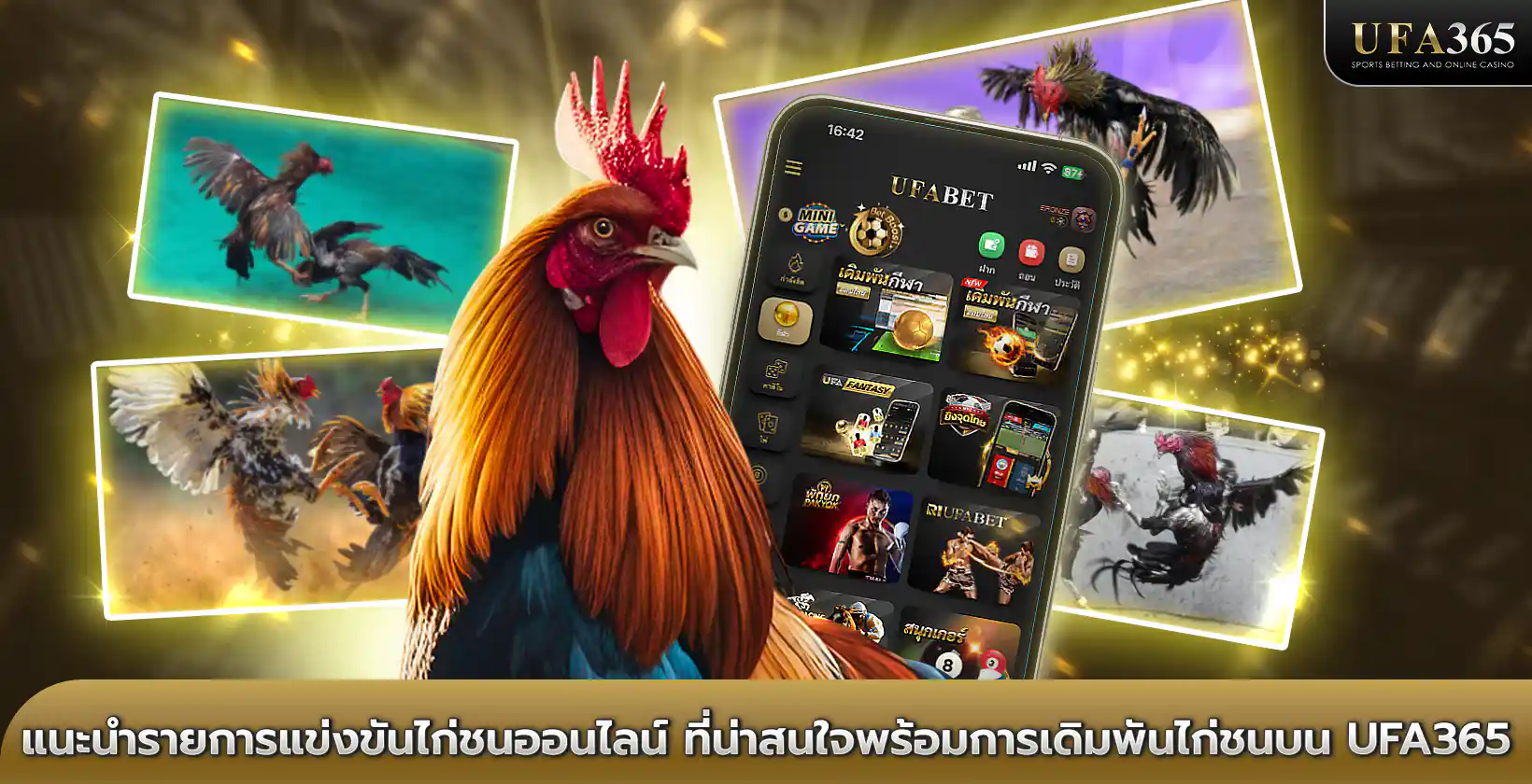 เดิมพัน ไก่ชนออนไลน์ บน UFA365