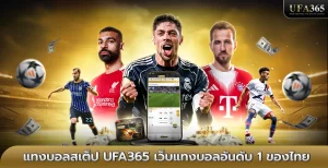 แทงบอลสเต็ป (Mix Parlay) สูตรทำเงินที่ต้องรู้ก่อนเริ่มเล่นบน ufa365