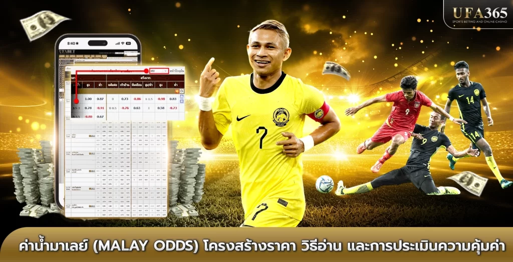 ค่าน้ำมาเลย์ (Malay Odds) โครงสร้างราคา วิธีอ่าน และการประเมินความคุ้มค่า
